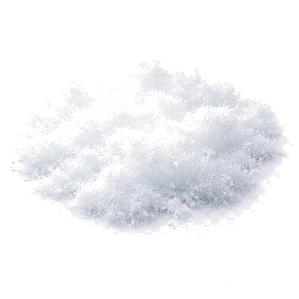 Snow accord