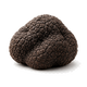Truffle