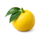 Yuzu