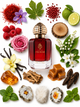 60ml