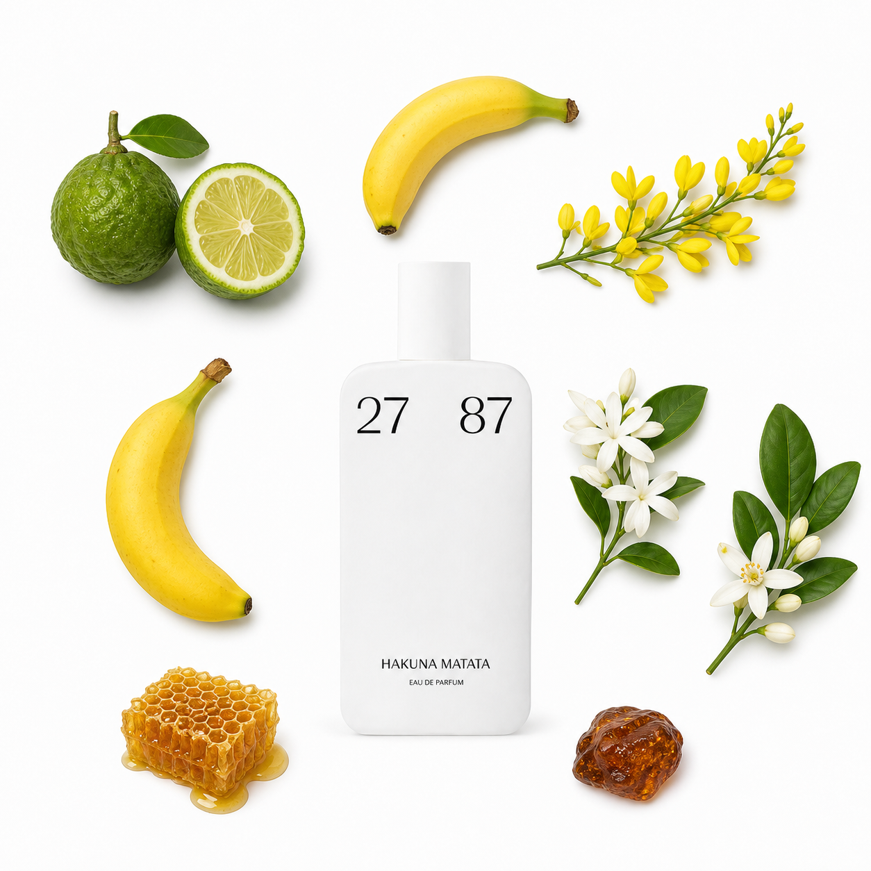 2787 Perfumes Hakuna Matata Eau de Parfum 87 ml with scent notes