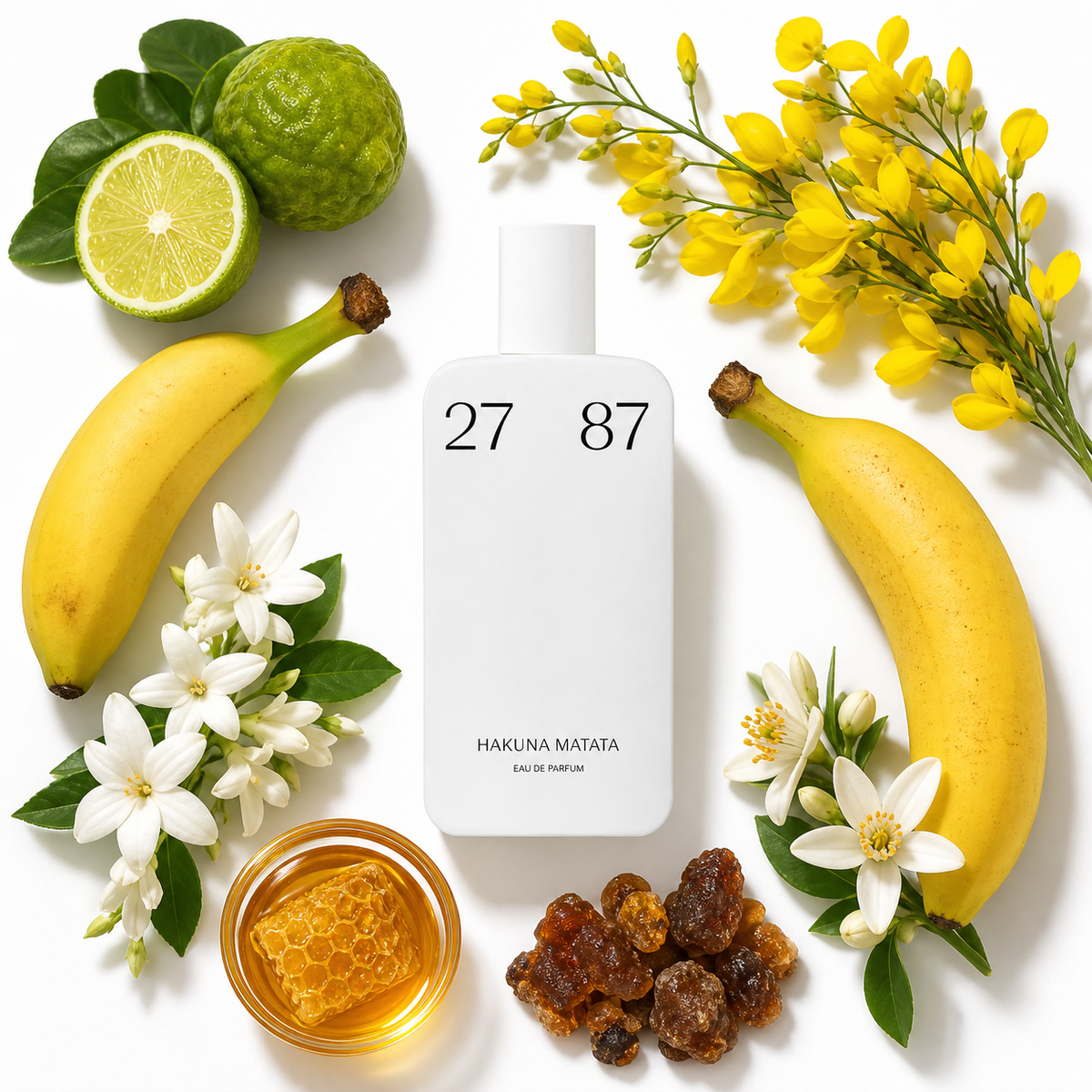 2787 Perfumes Hakuna Matata Eau de Parfum with scent notes