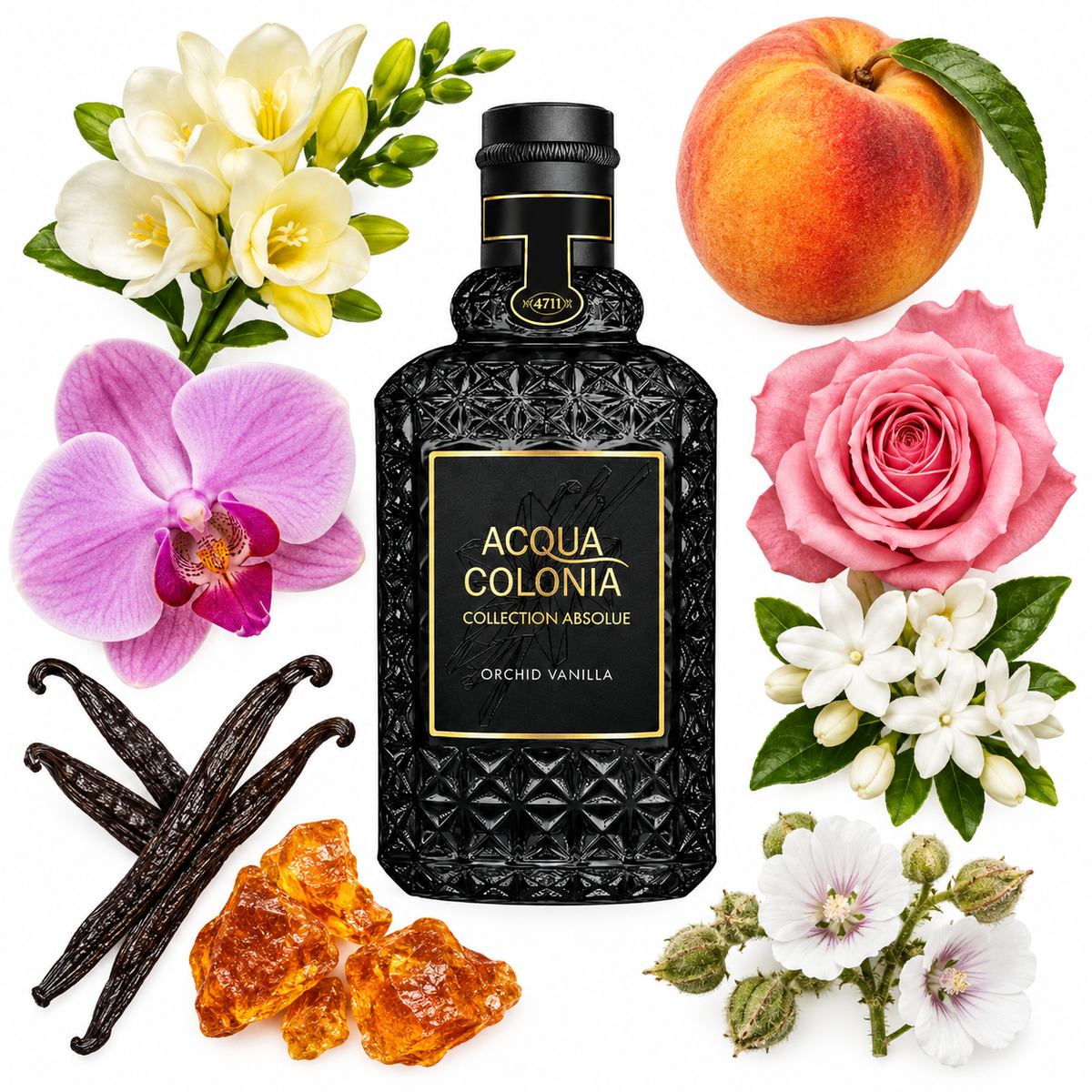 4711 Acqua Colonia ABSOLUE Orchid Vanilla Eau de Parfum Absolue with scent notes