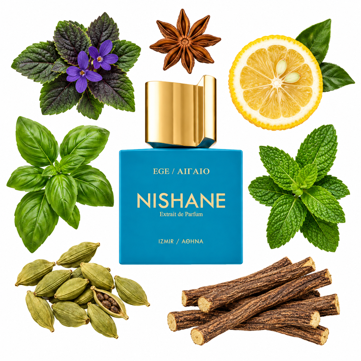 NISHANE Ege / AIGAIO Extrait de Parfum with scent notes