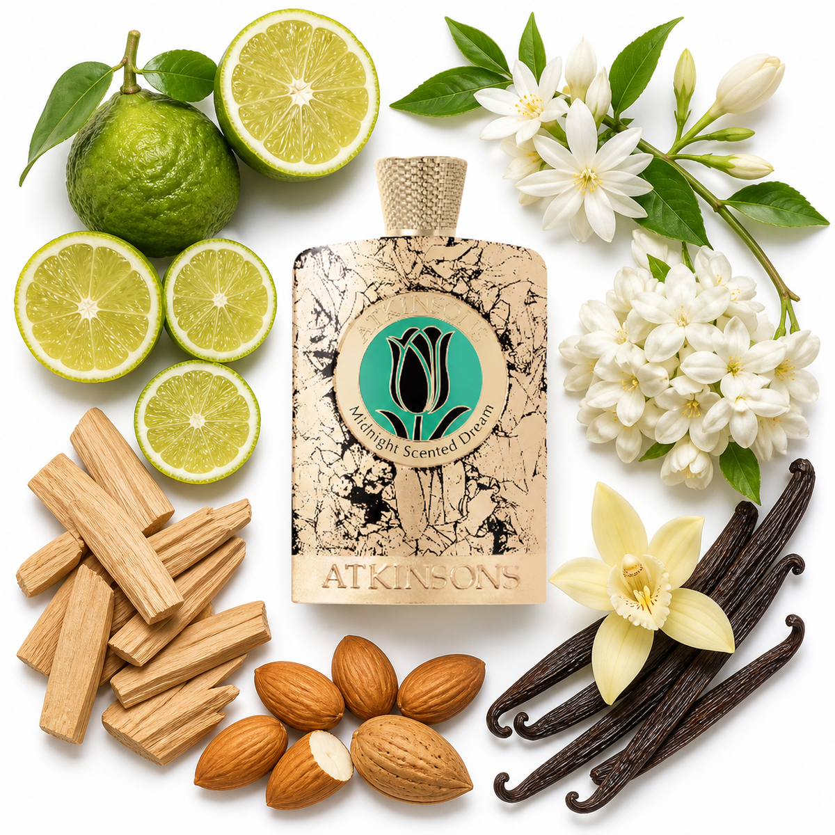 ATKINSONS Midnight Scented Dream Parfum Intense with scent notes