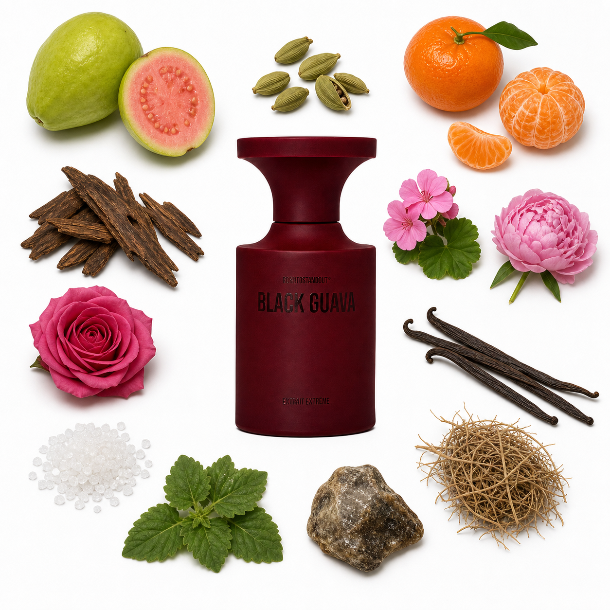 BORNTOSTANDOUT Black Guava Extrait de Parfum 50 ml with scent notes