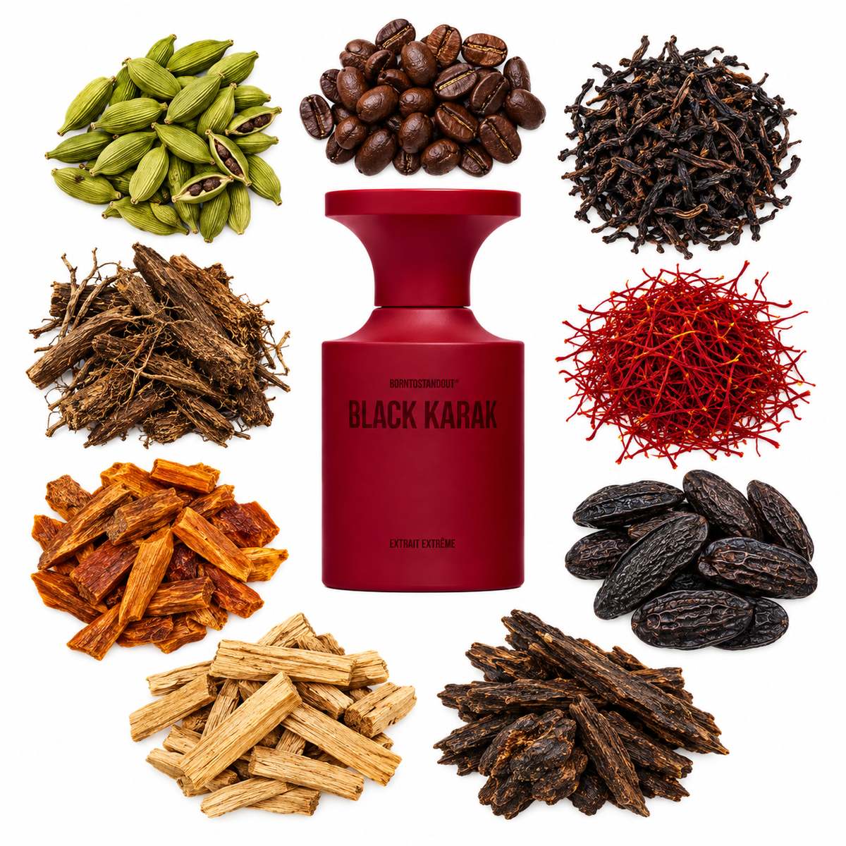 BORNTOSTANDOUT Black Karak Extrait de Parfum with scent notes