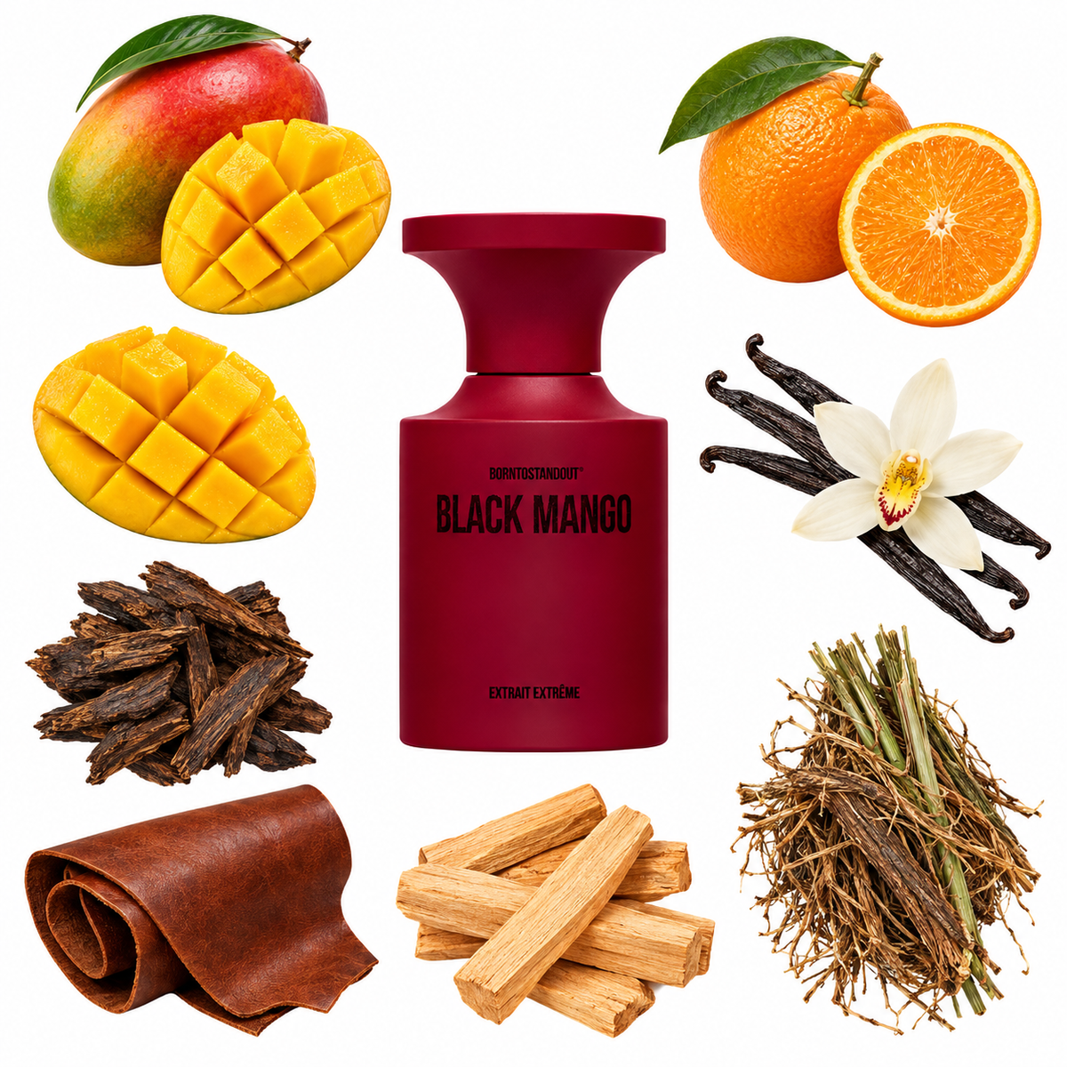 BORNTOSTANDOUT Black Mango Extrait de Parfum with scent notes