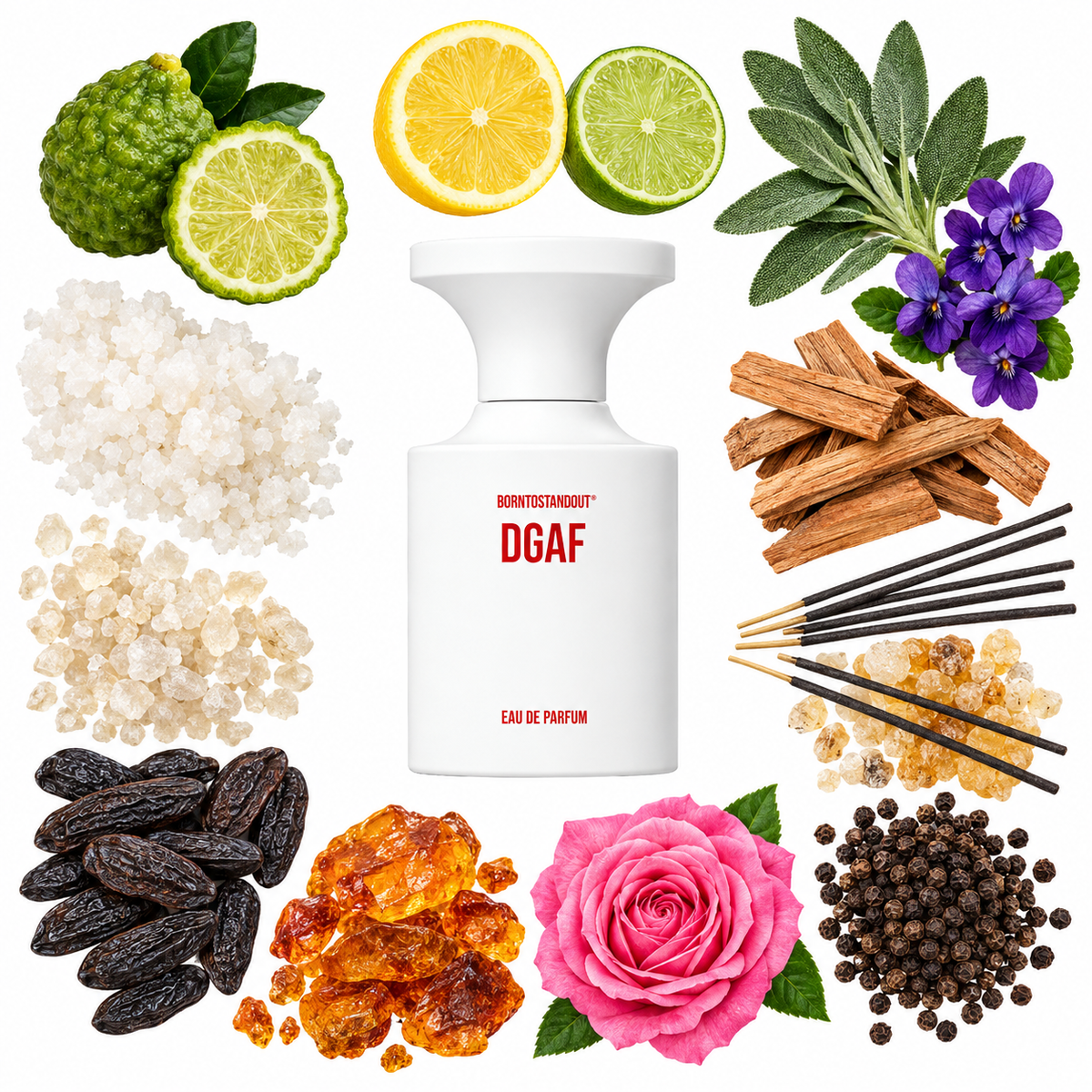 BORNTOSTANDOUT DGAF Eau de Parfum with scent notes