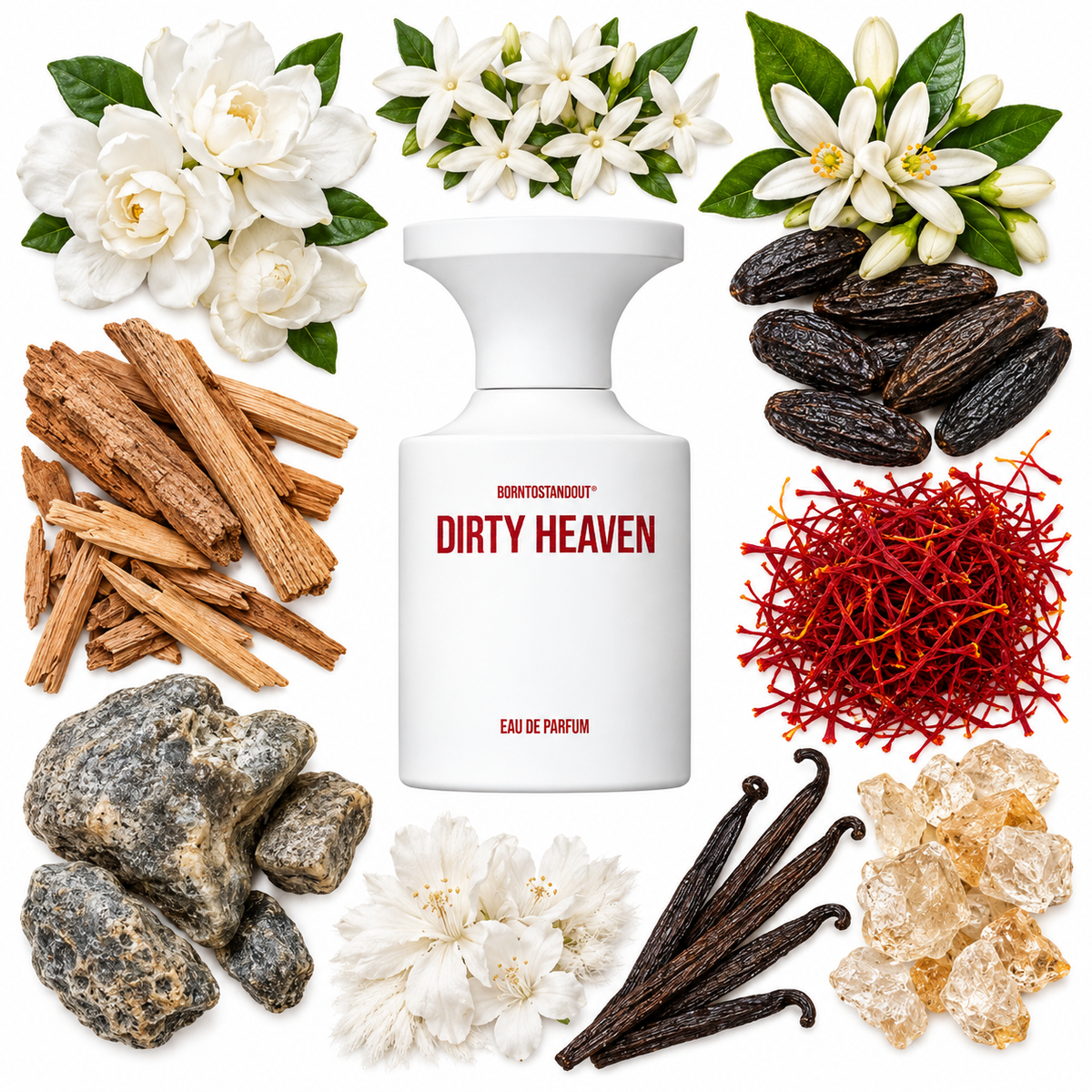 BORNTOSTANDOUT Dirty Heaven Eau de Parfum with scent notes