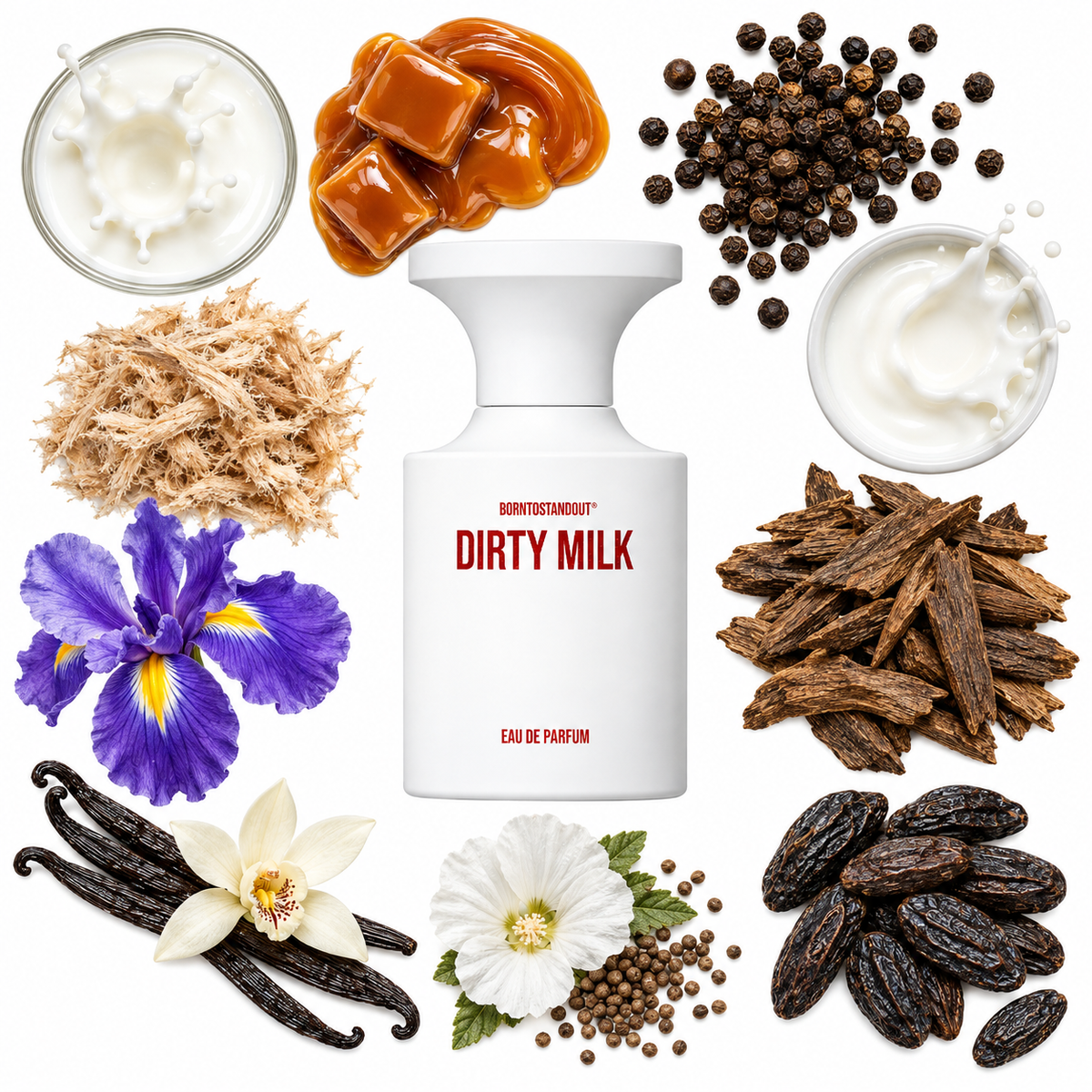 BORNTOSTANDOUT Dirty Milk Eau de Parfum with scent notes