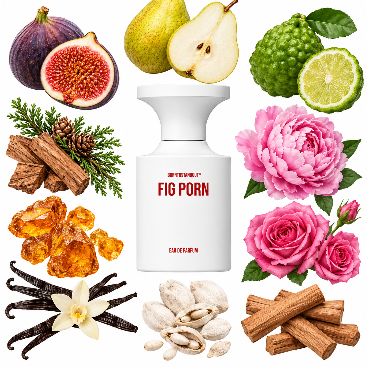 BORNTOSTANDOUT Fig Porn Eau de Parfum with scent notes
