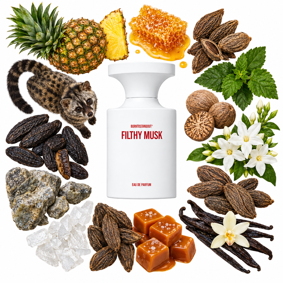 BORNTOSTANDOUT Filthy Musk Eau de Parfum with scent notes