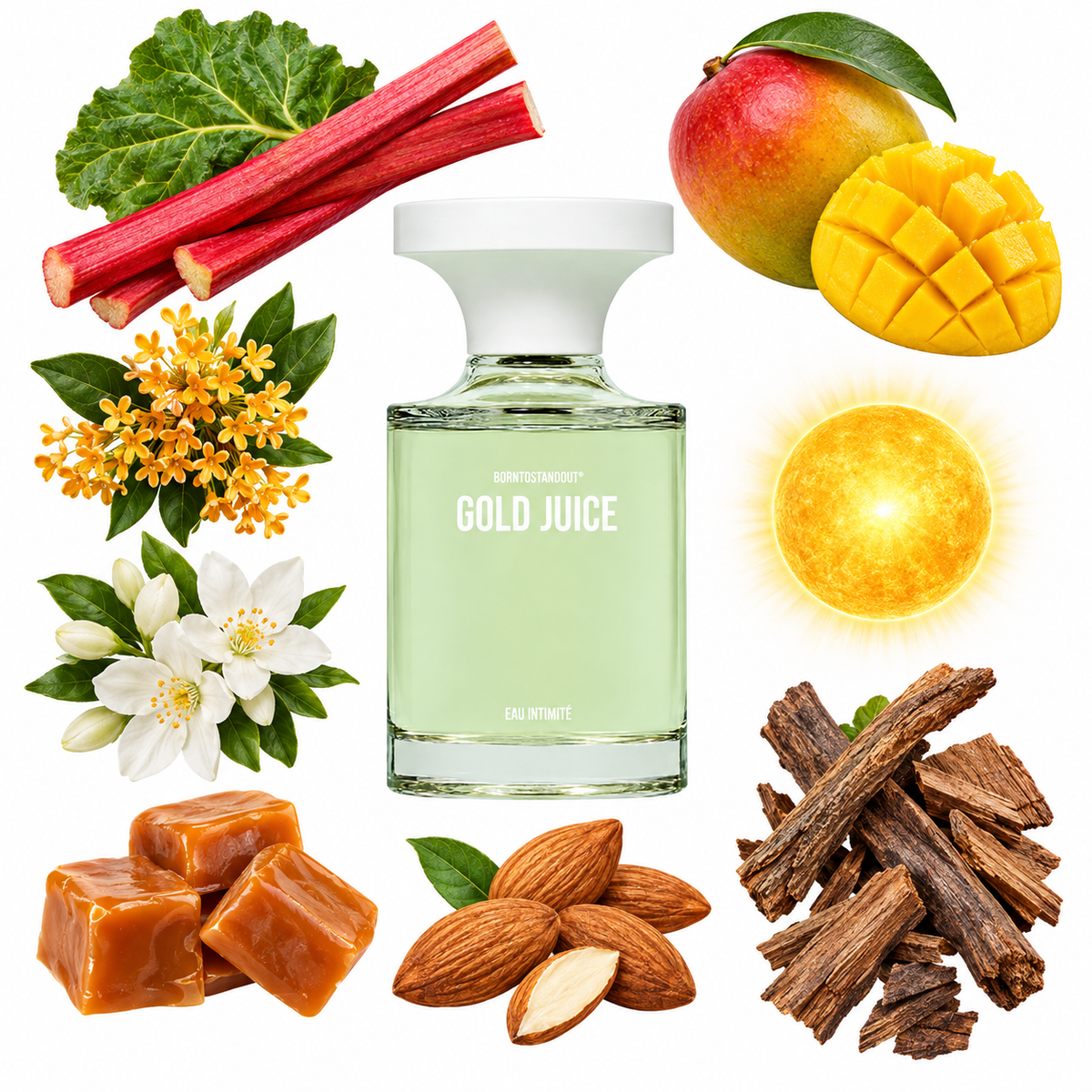 BORNTOSTANDOUT Gold Juice Eau de Parfum with scent notes