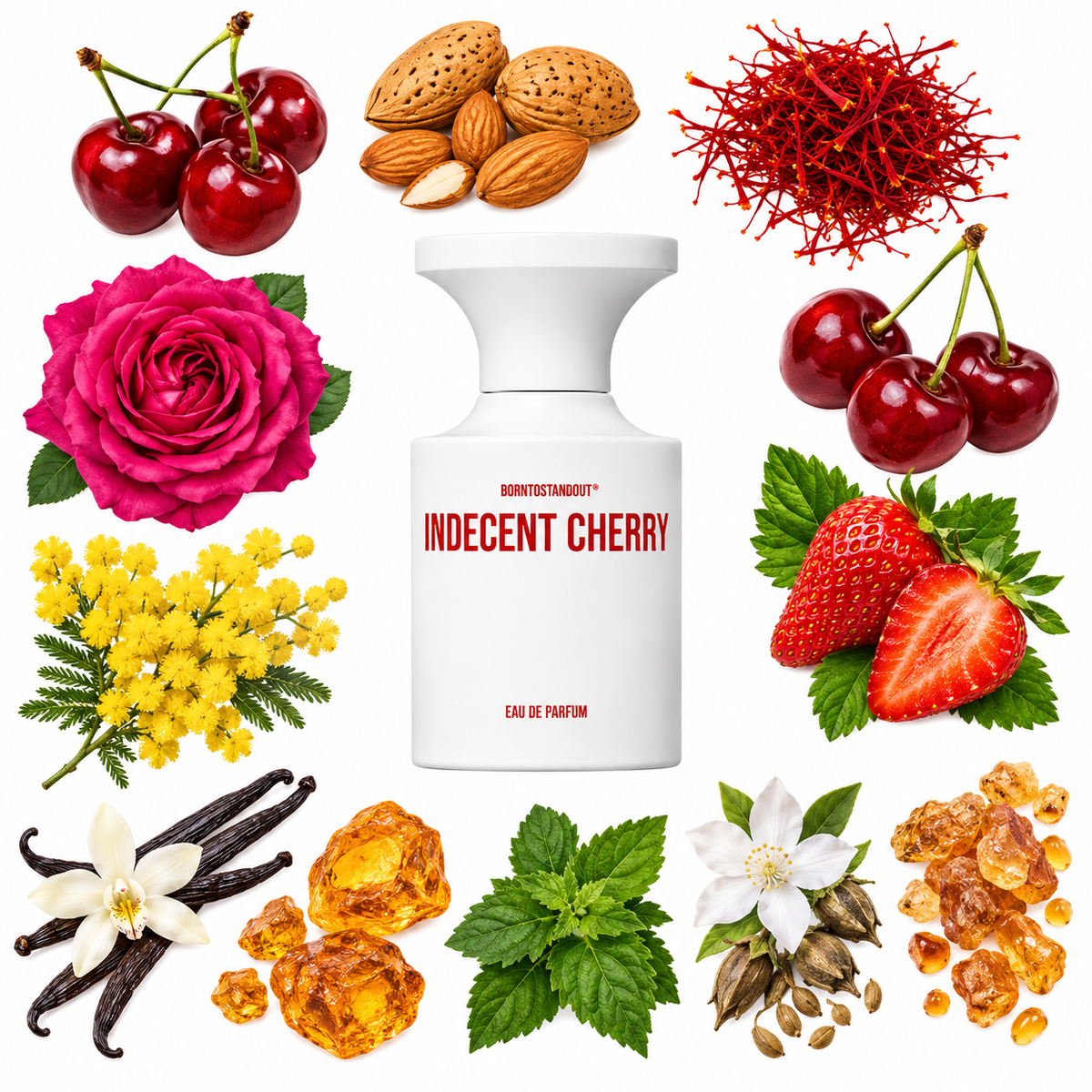 BORNTOSTANDOUT Indecent Cherry Eau de Parfum with scent notes