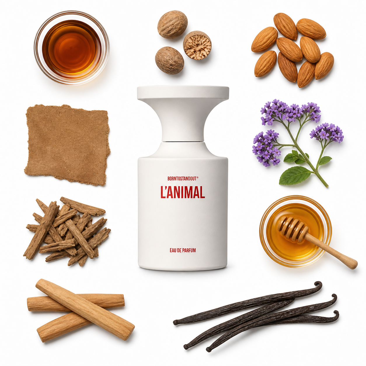 BORNTOSTANDOUT L'Animal Eau de Parfum 50 ml with scent notes
