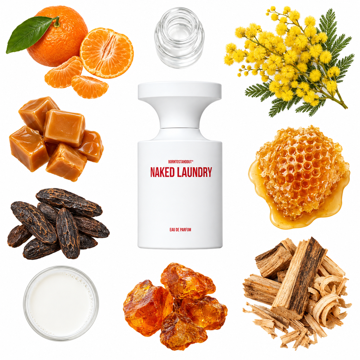 BORNTOSTANDOUT Naked Laundry Eau de Parfum with scent notes