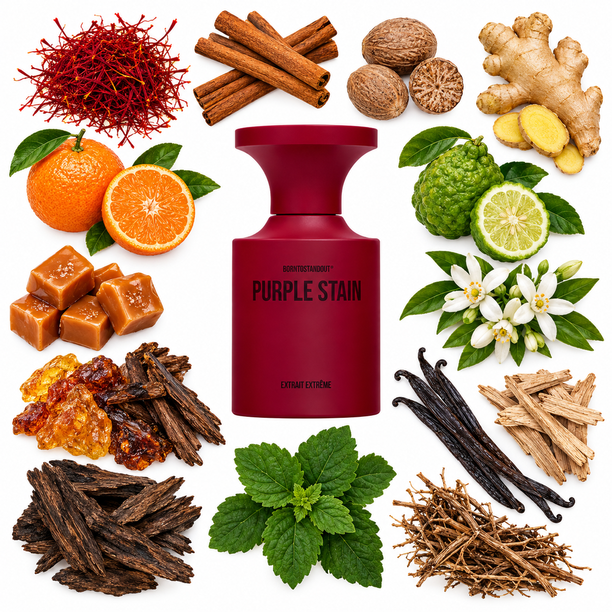 BORNTOSTANDOUT Purple Stain Extrait de Parfum with scent notes
