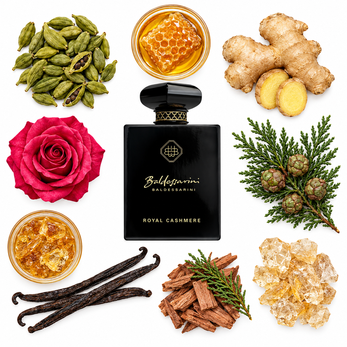 Baldessarini Royal Cashmere Extrait de Parfum with scent notes