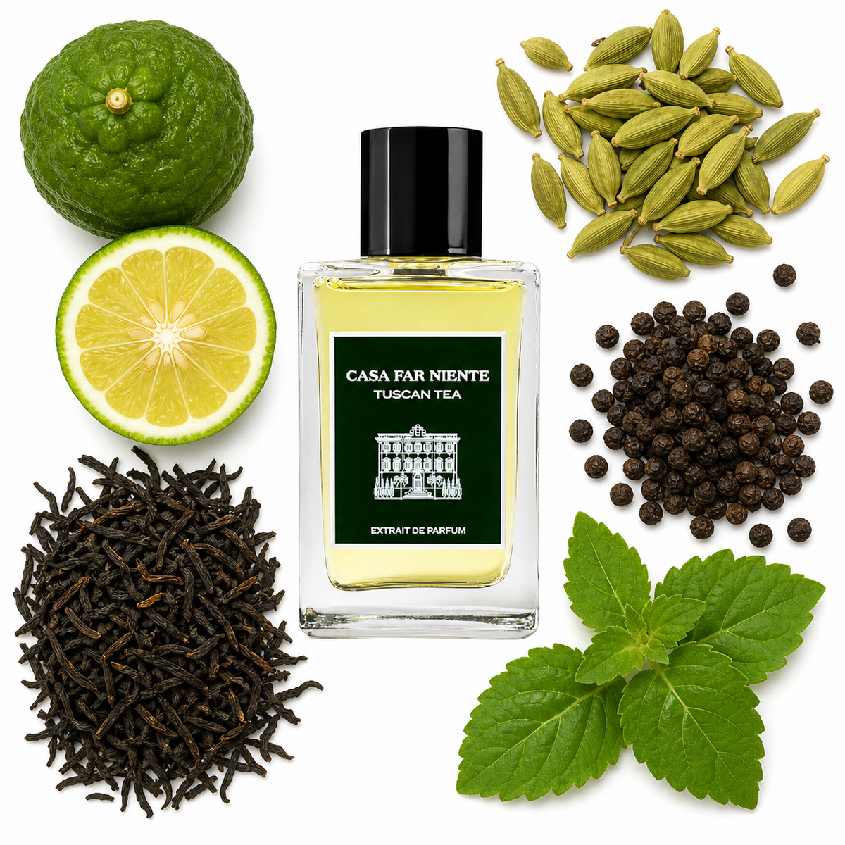 Casa Far Niente Tuscan Tea Extrait de Parfum with scent notes