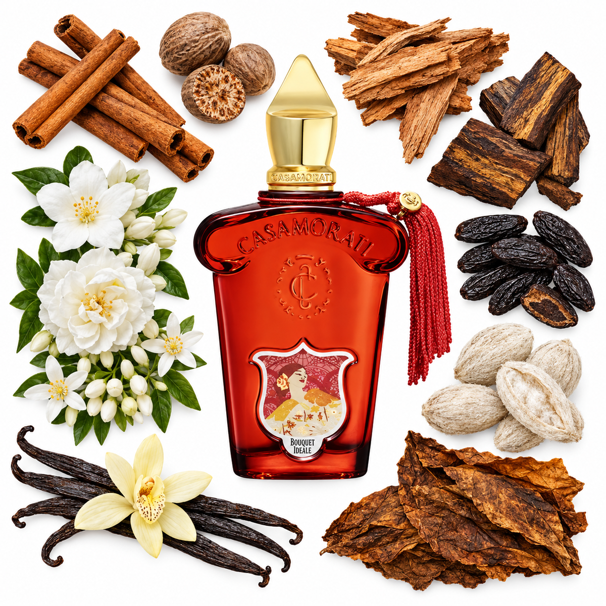 Casamorati 1888 Bouquet Ideale Eau de Parfum with scent notes