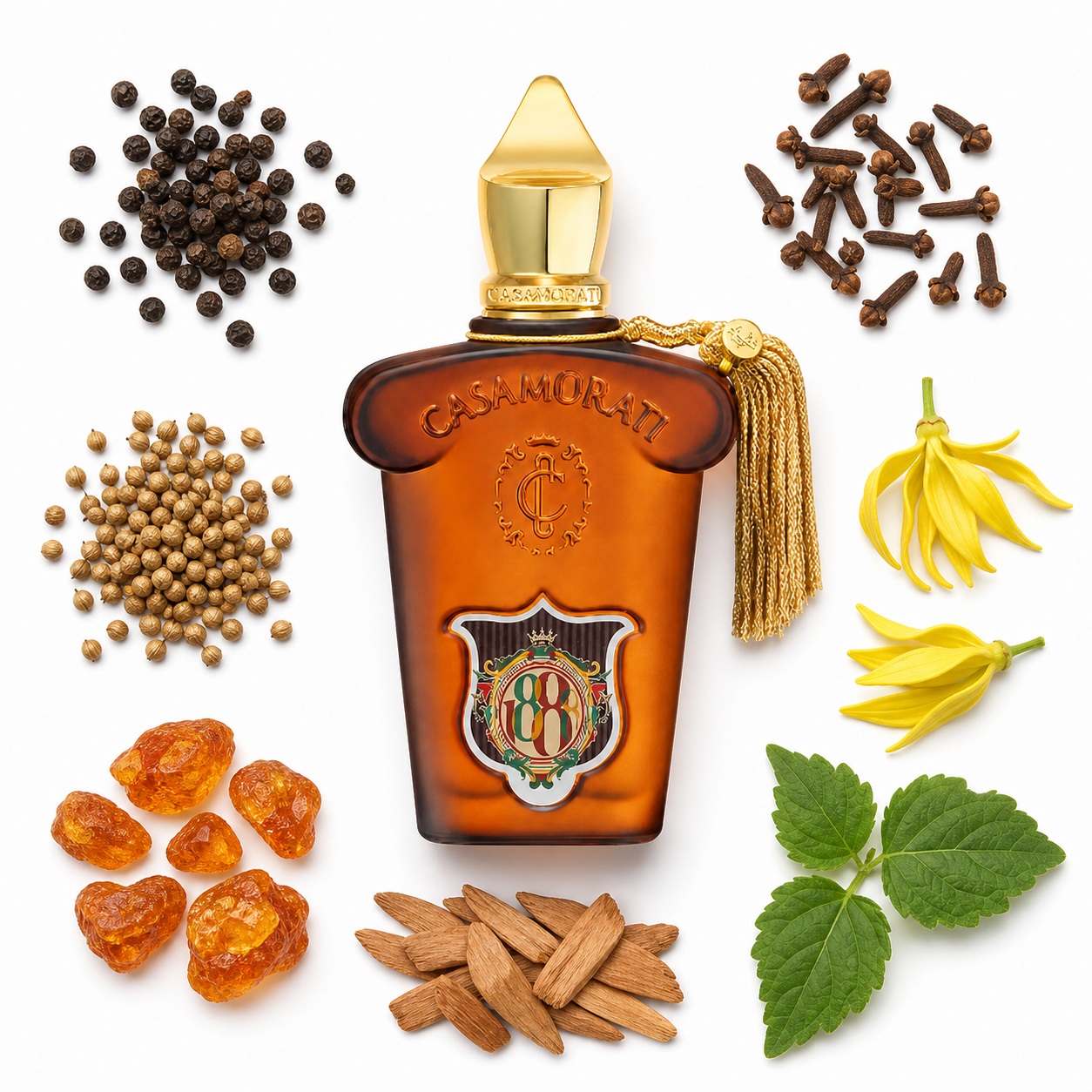 Casamorati 1888 Casamorati 1888 Eau de Parfum 100 ml with scent notes
