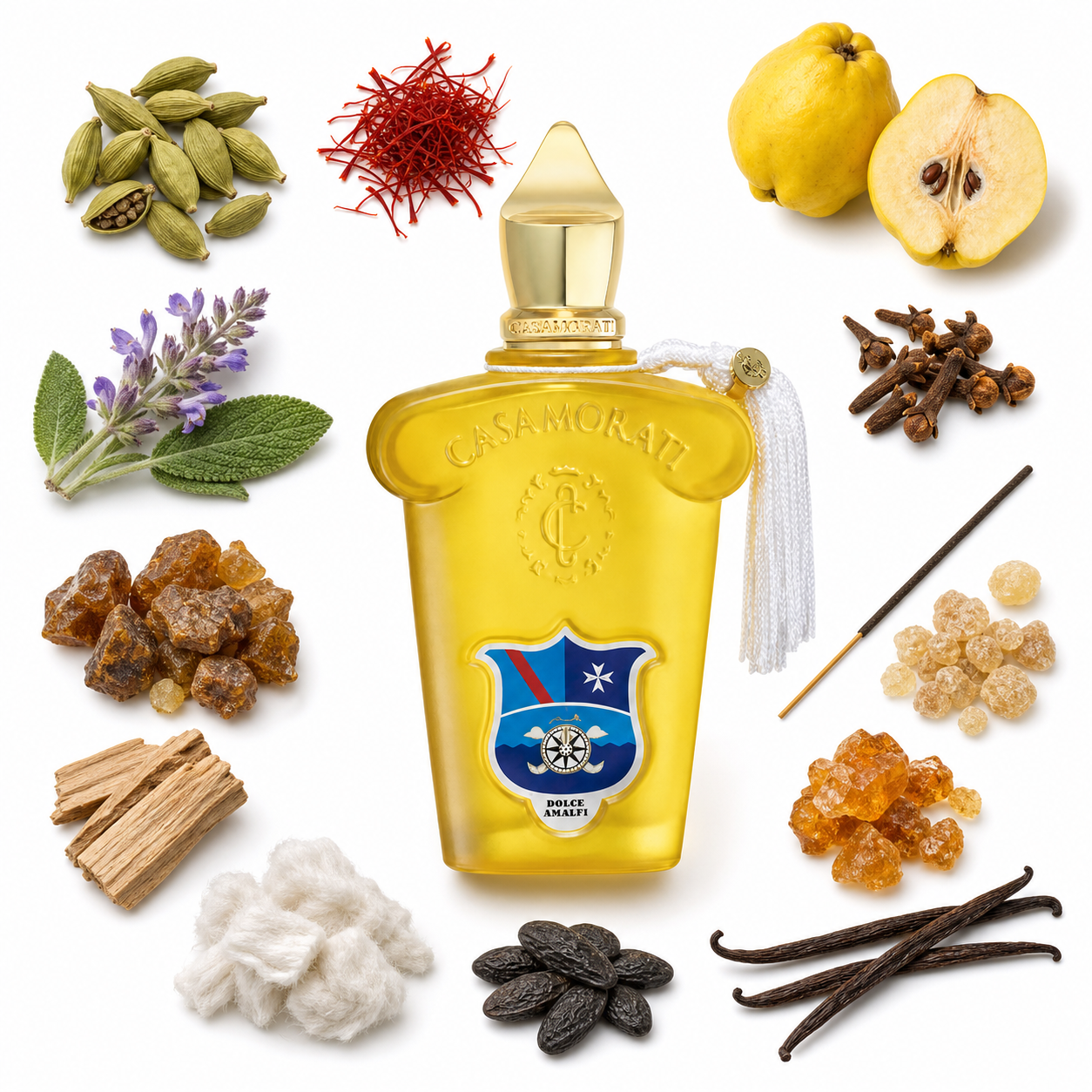 Casamorati 1888 Dolce Amalfi Eau de Parfum 100 ml with scent notes