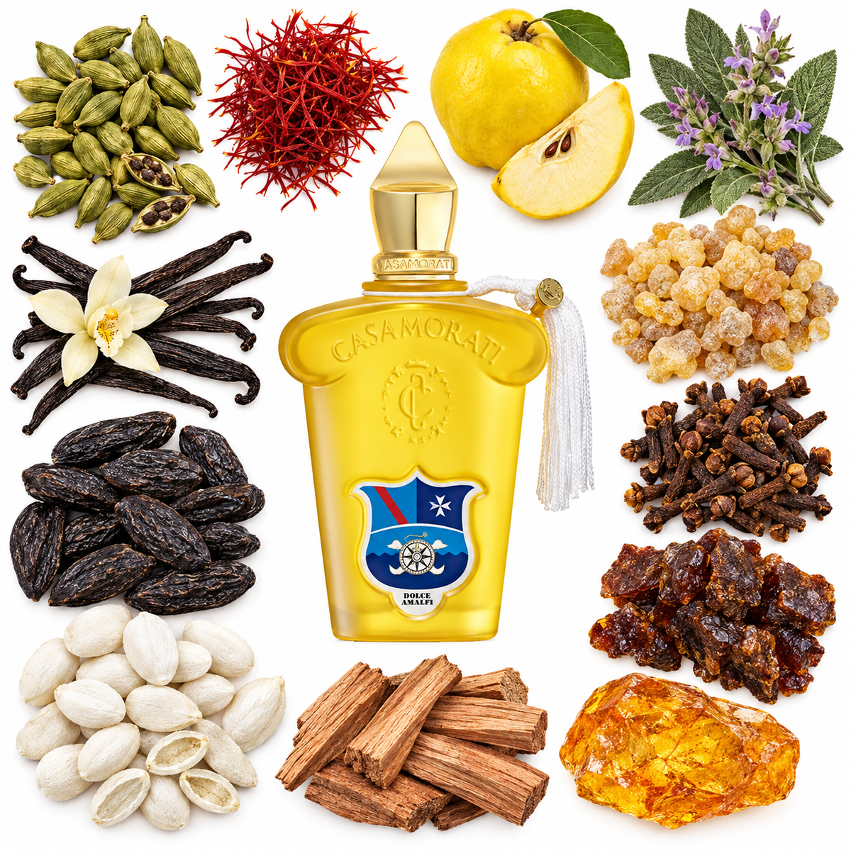 Casamorati 1888 Dolce Amalfi Eau de Parfum with scent notes