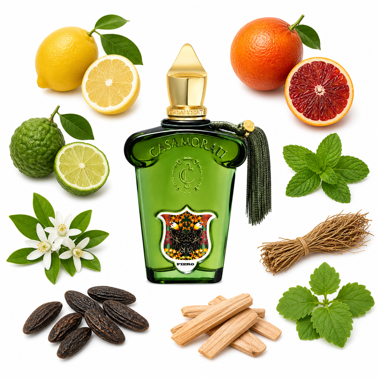 Casamorati 1888 Fiero Eau de Parfum 100 ml with scent notes