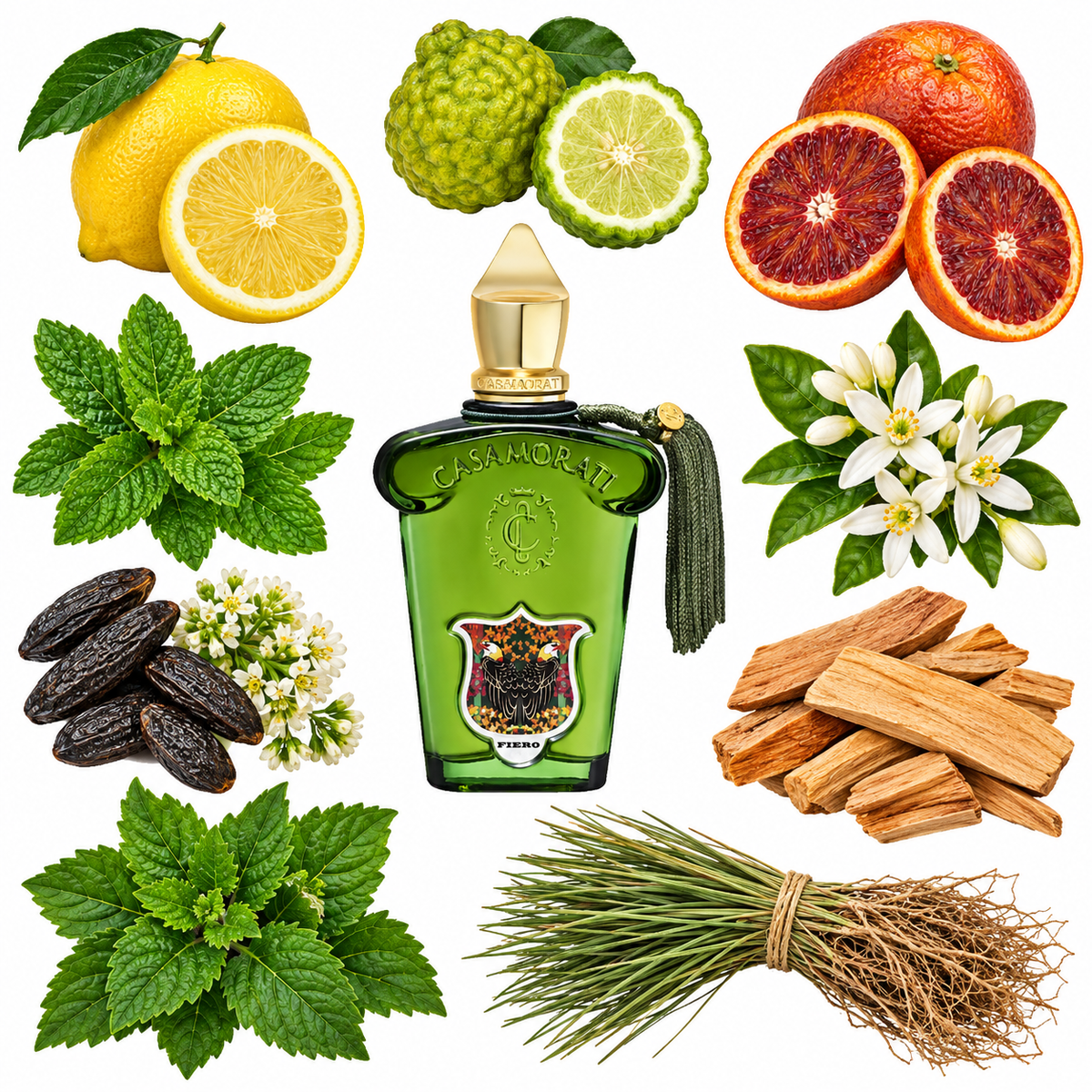 Casamorati 1888 Fiero Eau de Parfum with scent notes