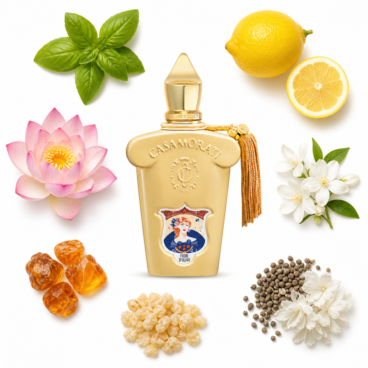 Casamorati 1888 Fiore d'Ulivo Eau de Parfum 100 ml with scent notes