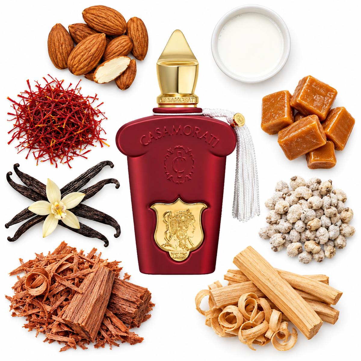 Casamorati 1888 Italica Eau de Parfum with scent notes