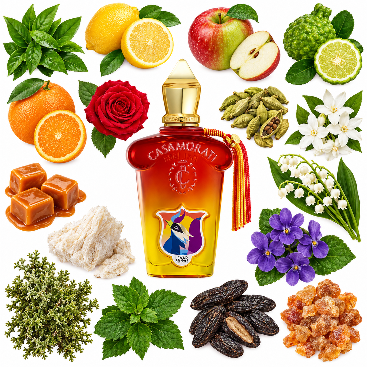 Casamorati 1888 Levar del Sole Eau de Parfum with scent notes