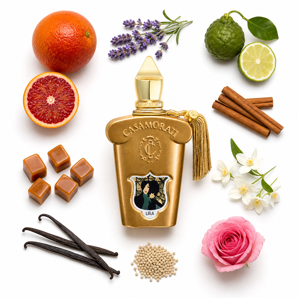 Casamorati 1888 Lira Eau de Parfum 100 ml with scent notes