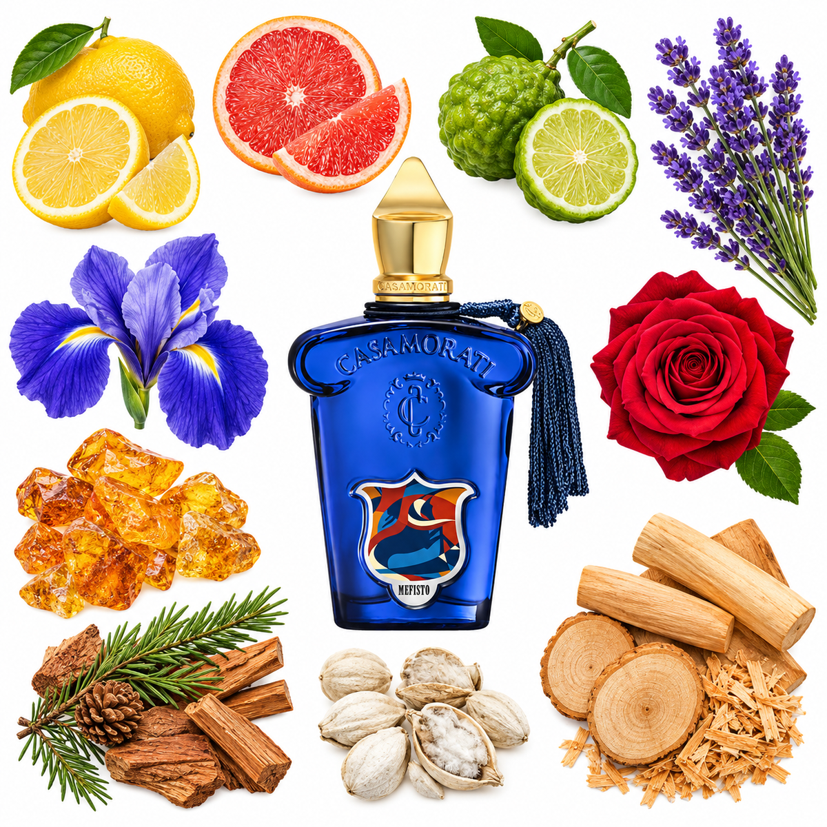 Casamorati 1888 Mefisto Eau de Parfum with scent notes