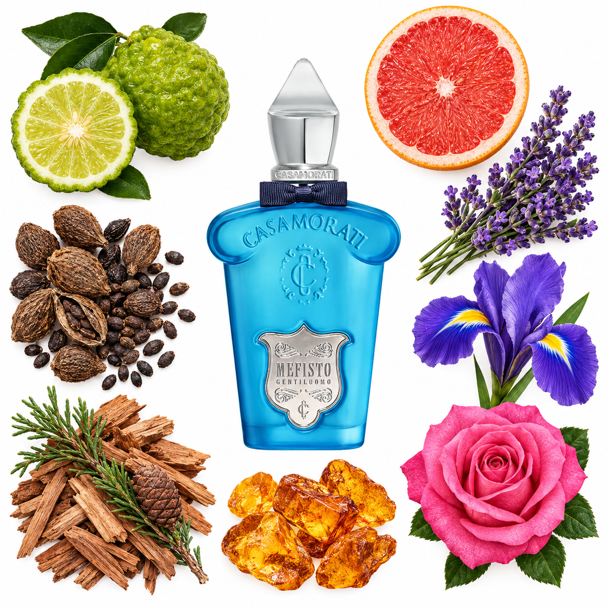 Casamorati 1888 Mefisto Gentiluomo Eau de Parfum with scent notes
