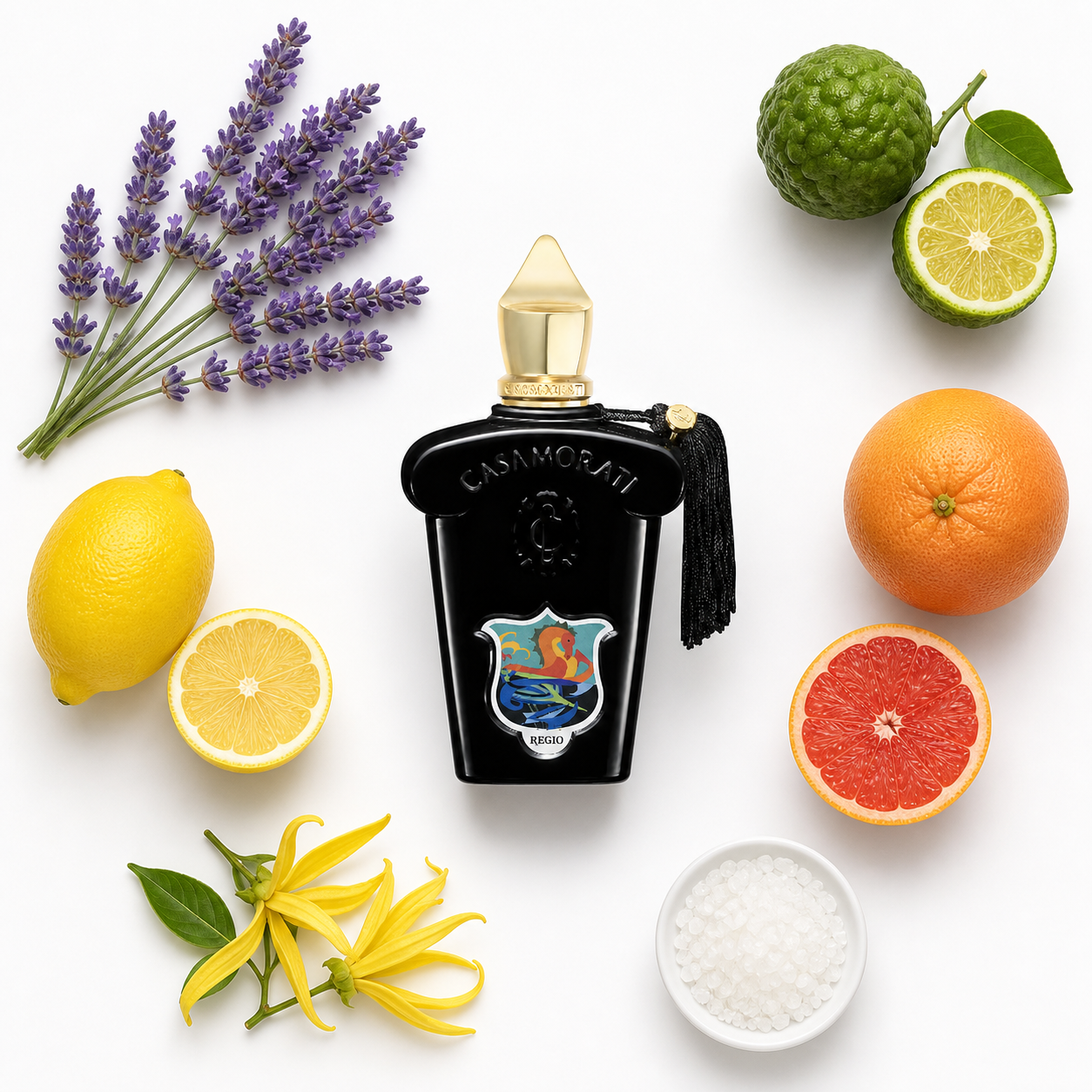 Casamorati 1888 Regio Eau de Parfum 100 ml with scent notes