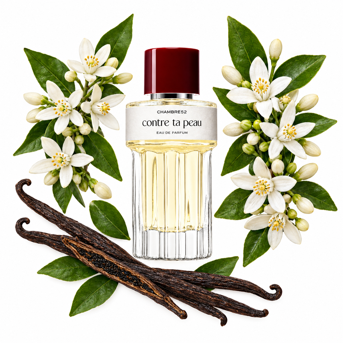 Chambre52 Contre Ta Peau Eau de Parfum with scent notes