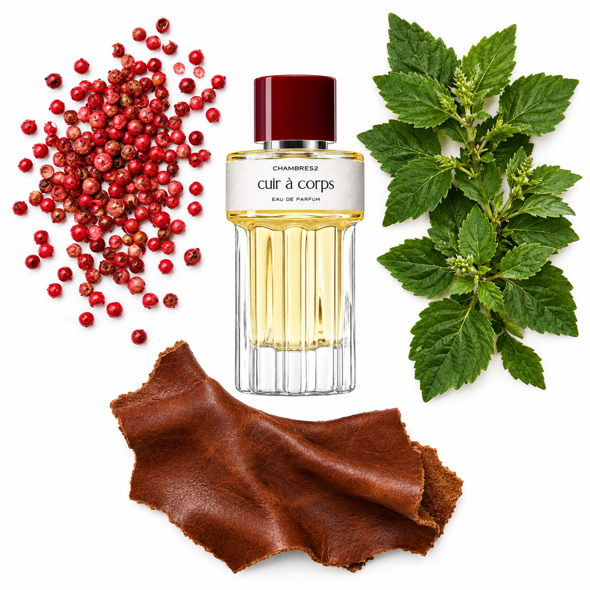 Chambre52 Cuir à Corps Eau de Parfum with scent notes