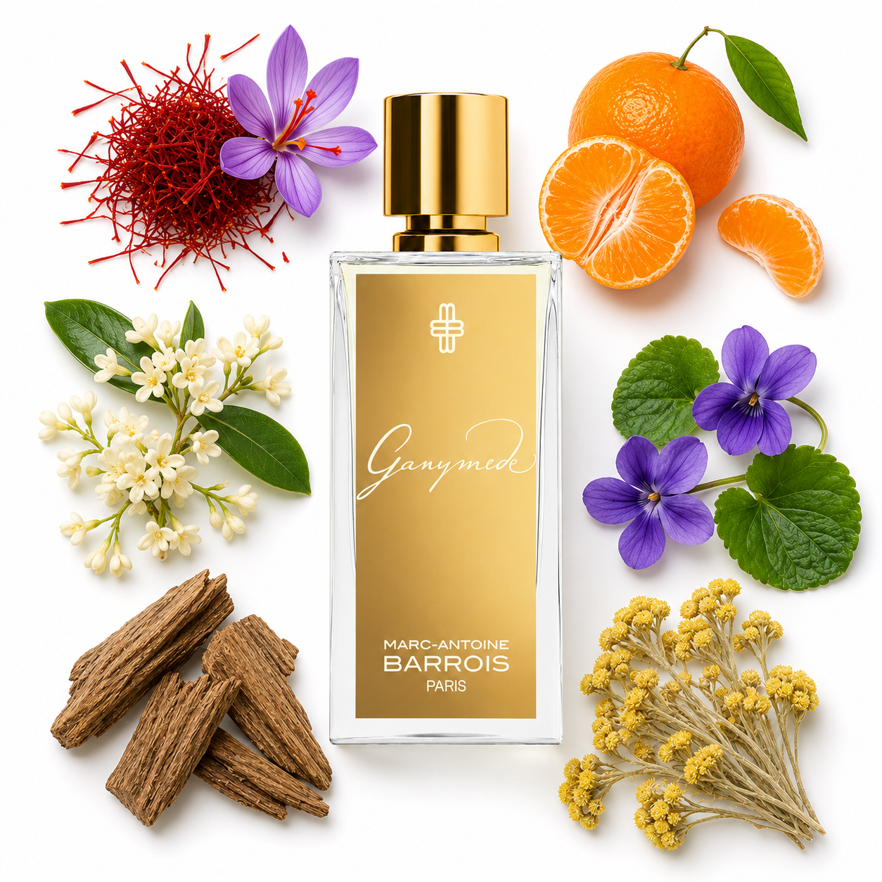 Marc-Antoine Barrois Ganymede Eau de Parfum