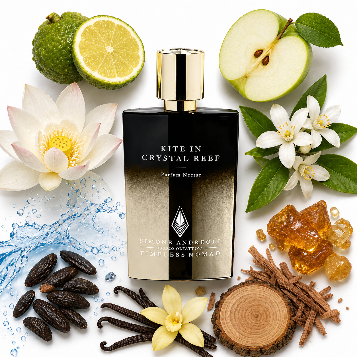 Simone Andreoli Timeless Nomad Kite In Cristal Reef Parfum 50 ml
