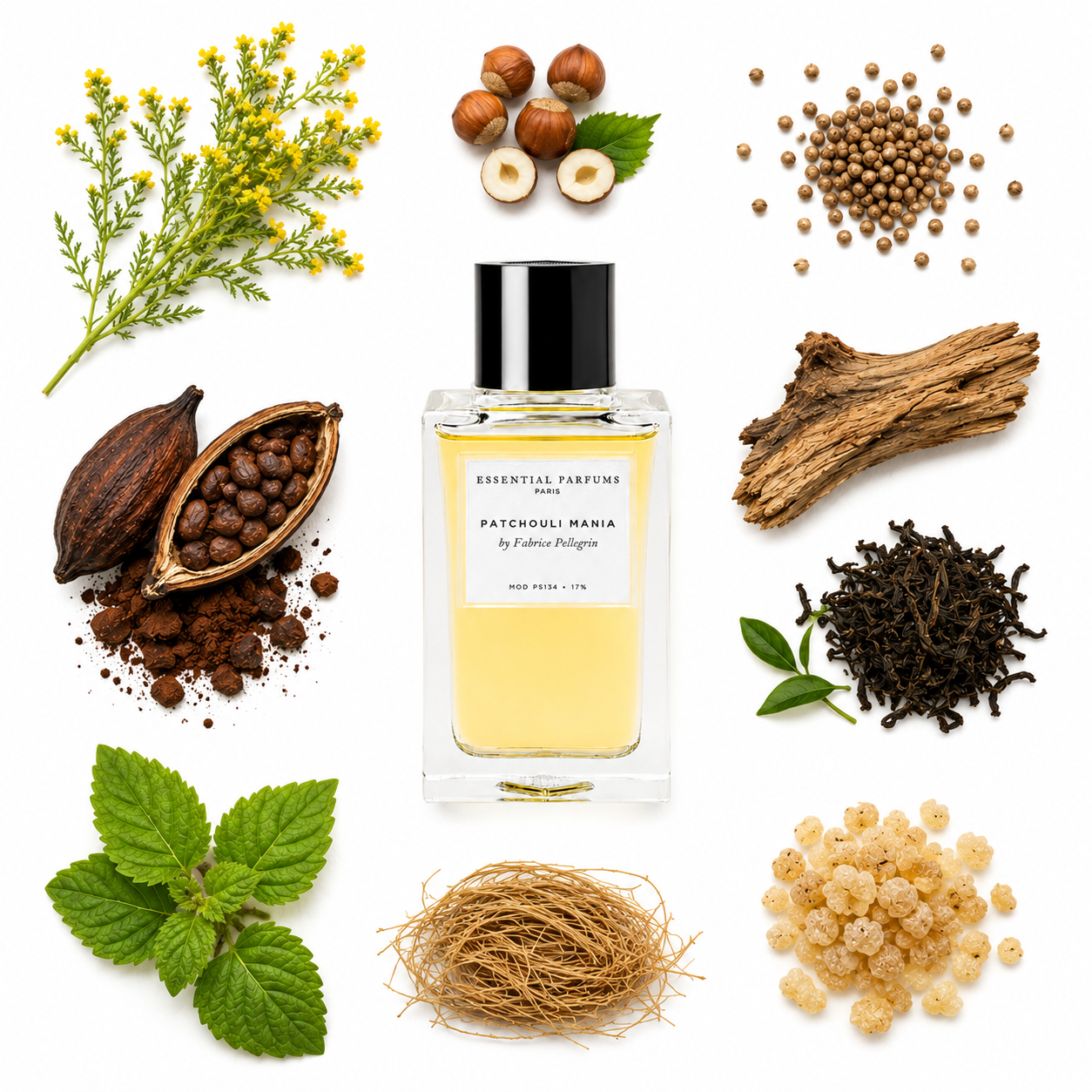 Essential Parfums PATCHOULI MANIA by Fabrice Pellegrin Eau de Parfum