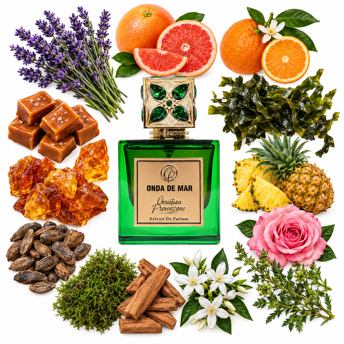 Christian Provenzano Onda de Mar Extrait de Parfum with scent notes