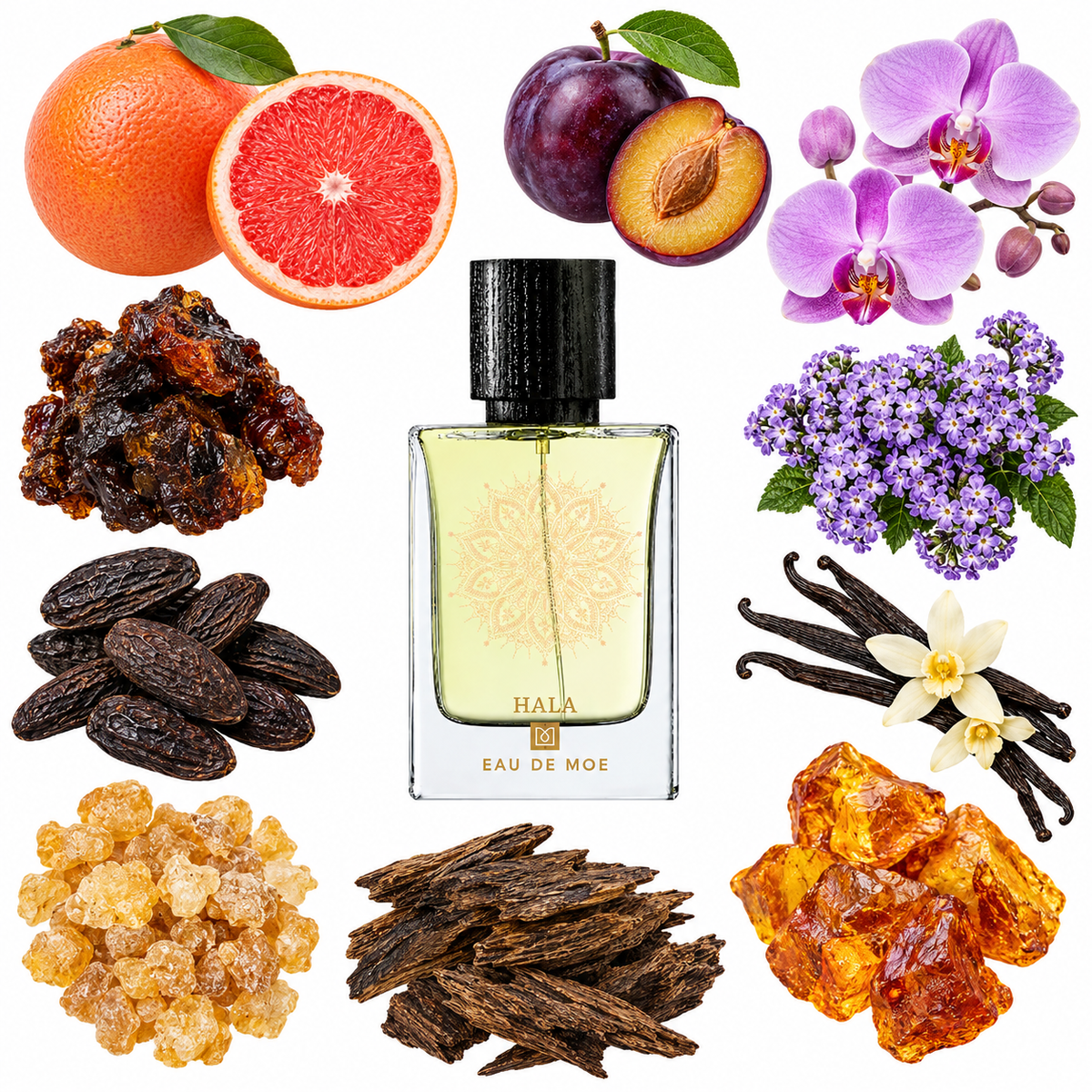 Eau de Moe HALA Eau de Parfum with scent notes