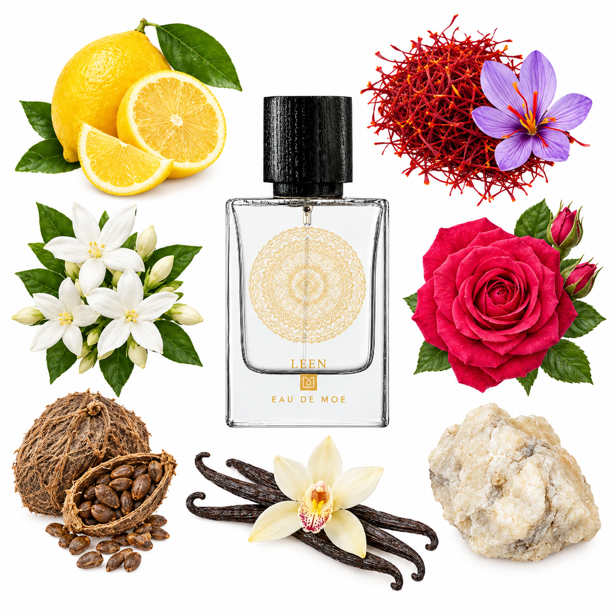 Eau de Moe LEEN Eau de Parfum with scent notes