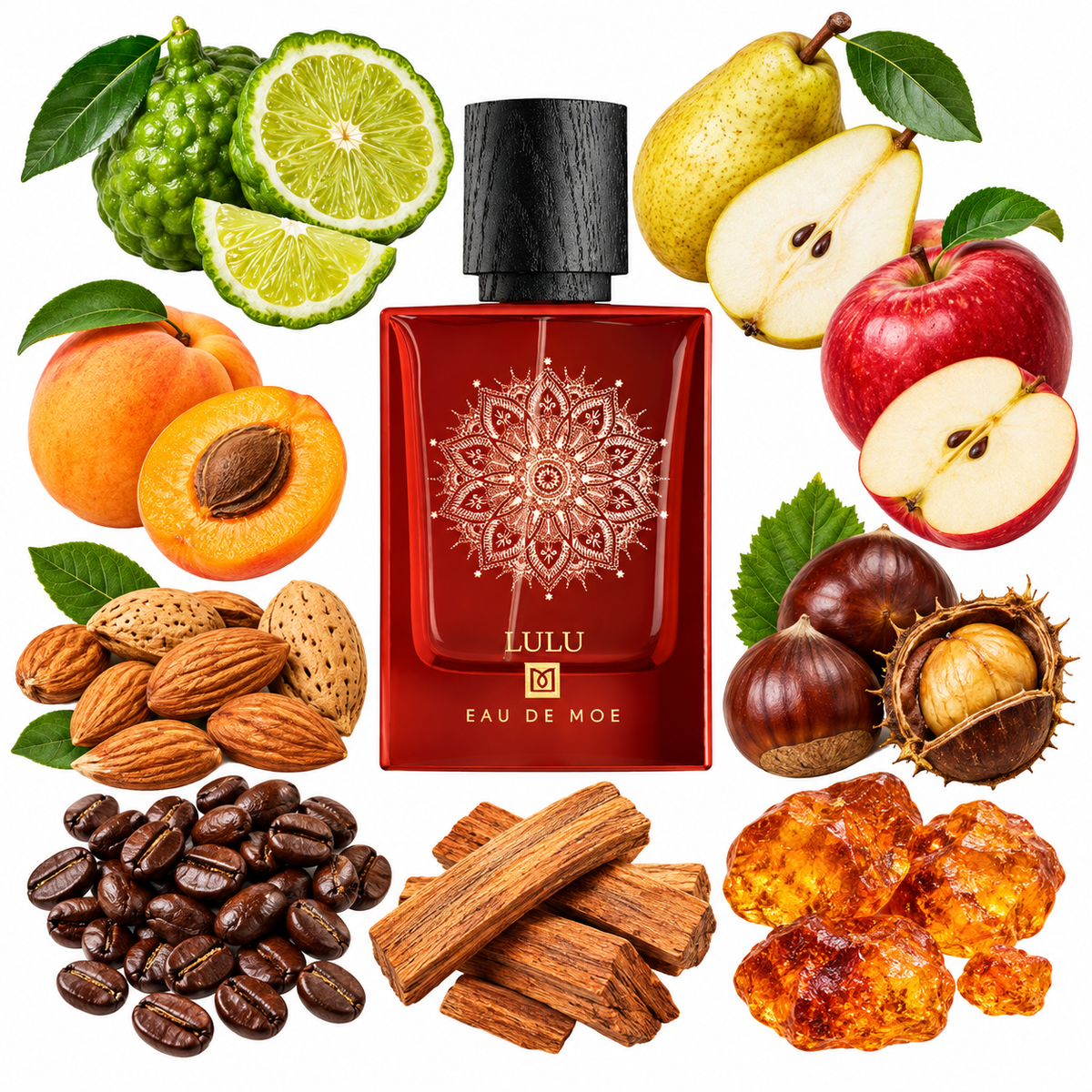 Eau de Moe LULU Eau de Parfum with scent notes