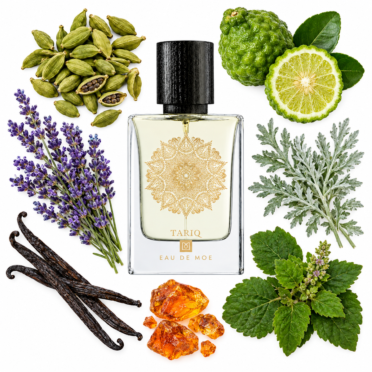 Eau de Moe TARIQ Eau de Parfum with scent notes