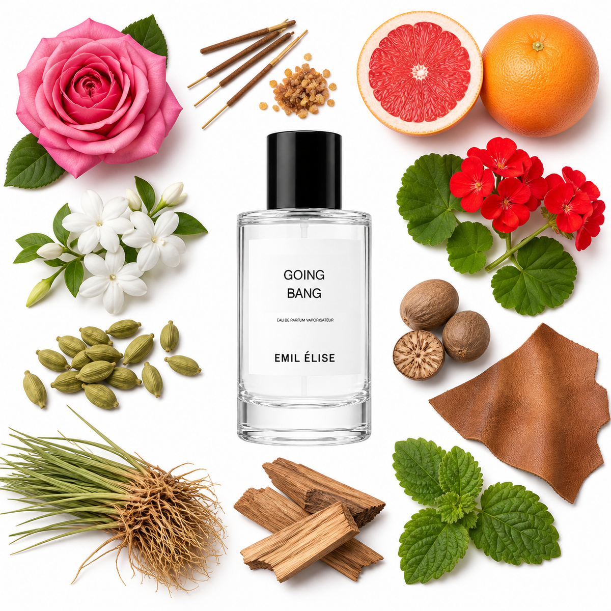 Emil Élise Going Bang Eau de Parfum with scent notes