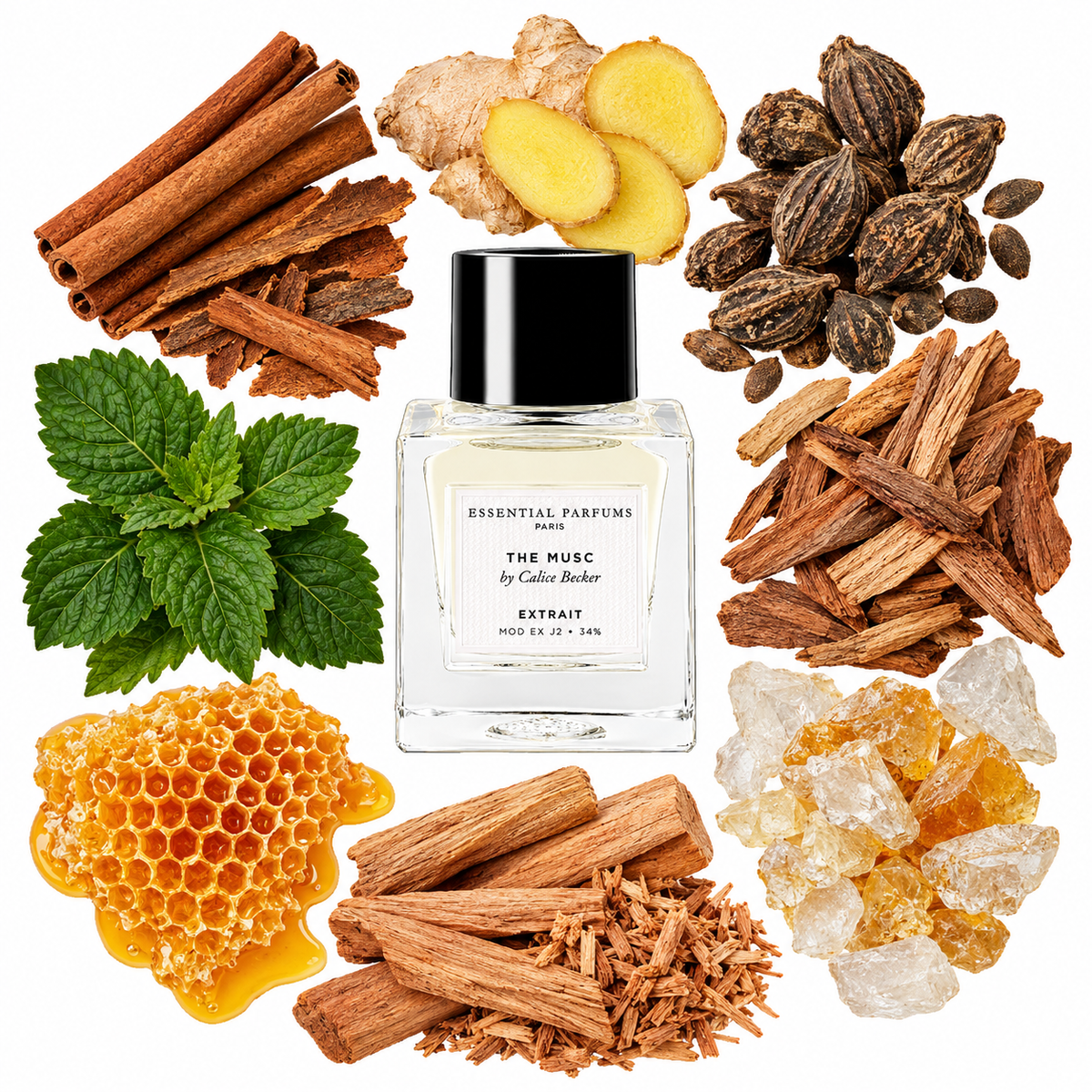 Essential Parfums THE MUSC by Calice Becker Extrait de Parfum with scent notes