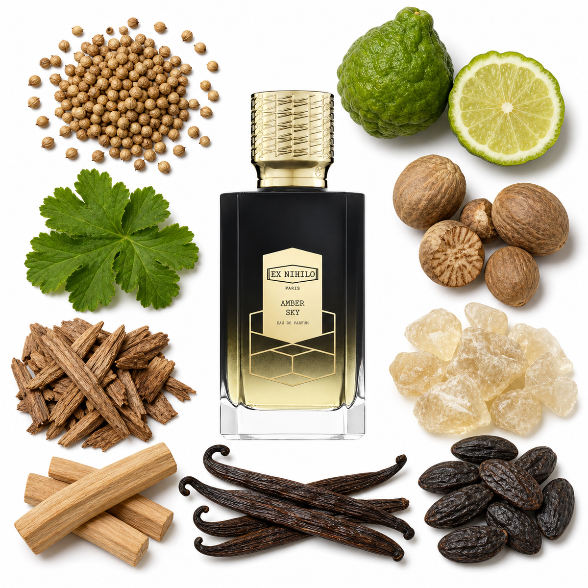 Ex Nihilo AMBER SKY Eau de Parfum with scent notes